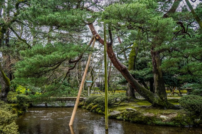 Embracing Imperfection: Key Principles of Wabi-Sabi in Garden Design