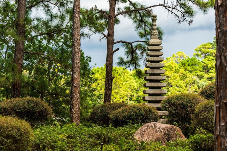 Seasonal Gardening with Wabi-Sabi: How to Let Nature Lead